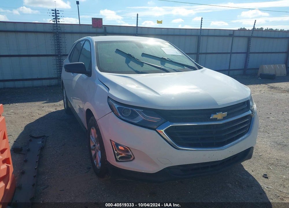 2019 CHEVROLET EQUINOX LS VIN: 2GNAXHEV4K6141464