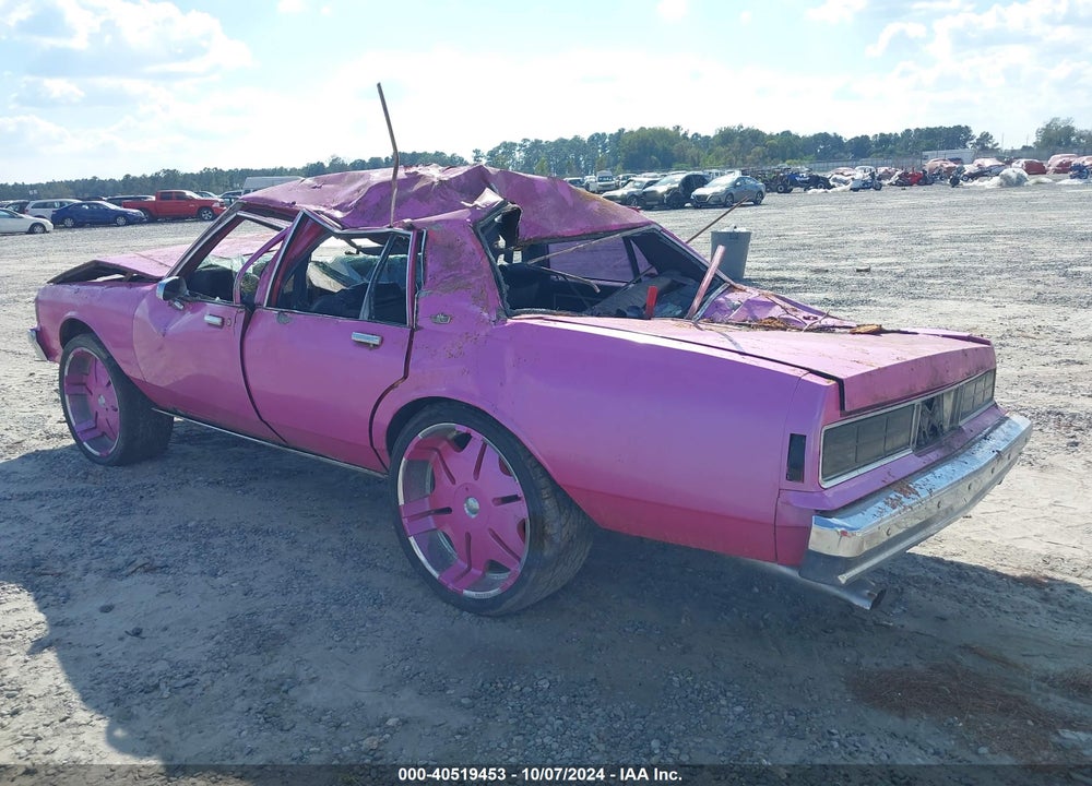 1989 CHEVROLET CAPRICE VIN: 1G1BL5172KA152070