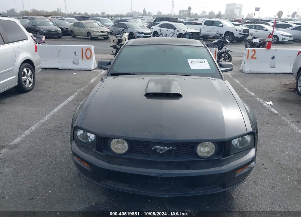 2008 FORD MUSTANG GT DELUXE VIN: 1ZVHT82HX85189182