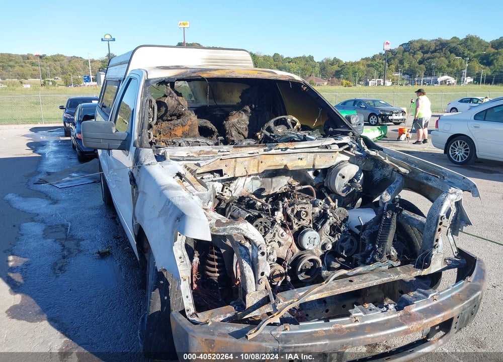 2010 FORD F-150 XL VIN: 1FTMF1CW8AKB23086
