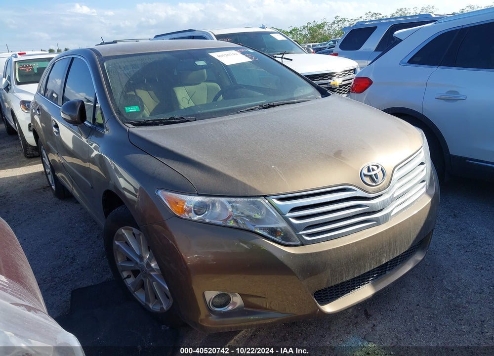 2009 TOYOTA VENZA VIN: 4T3ZE11A69U010594