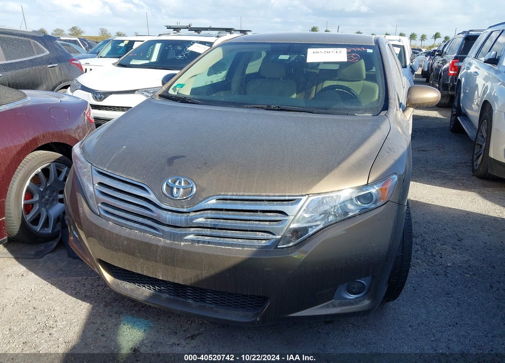 2009 TOYOTA VENZA VIN: 4T3ZE11A69U010594