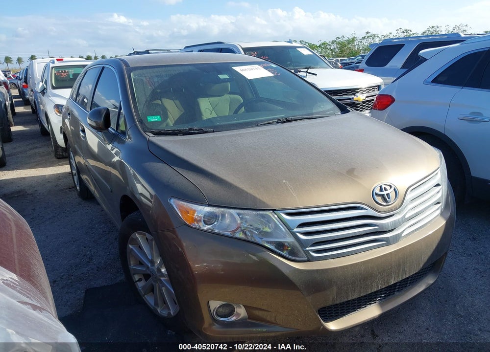 2009 TOYOTA VENZA VIN: 4T3ZE11A69U010594