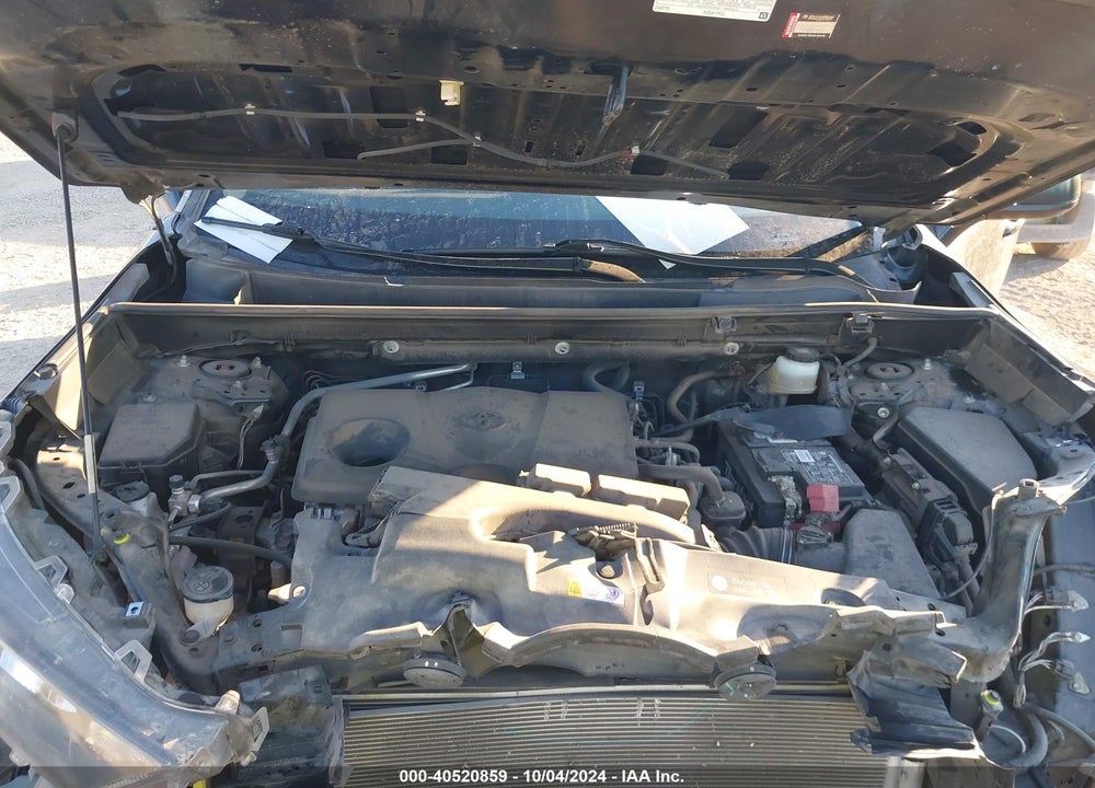 2019 TOYOTA RAV4 LE VIN: JTMH1RFV8KJ006729
