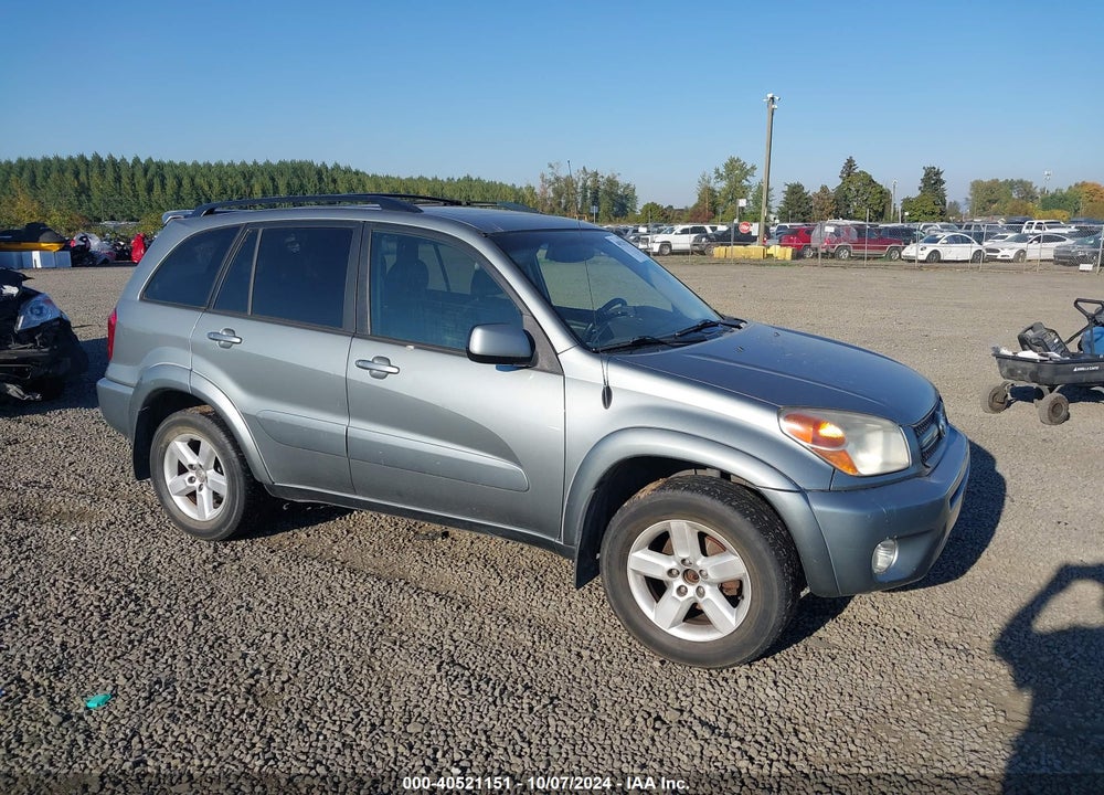 2004 TOYOTA RAV4 VIN: JTEHD20V840036275