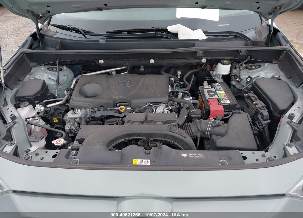 2019 TOYOTA RAV4 XLE VIN: 2T3W1RFV9KW037691