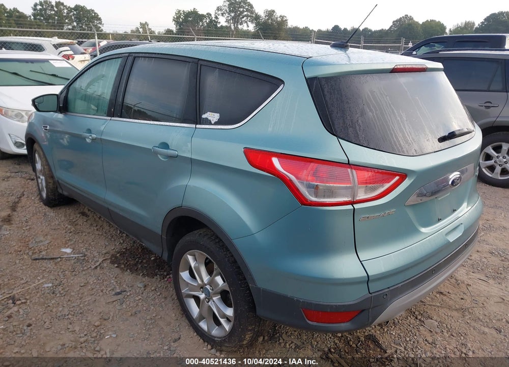 2013 FORD ESCAPE SEL VIN: 1FMCU0H9XDUA61516