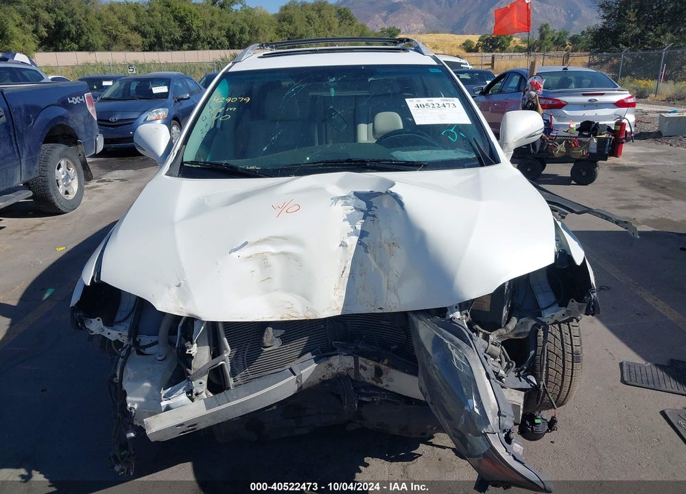 2010 LEXUS RX 350 VIN: JTJBK1BAXA2429079