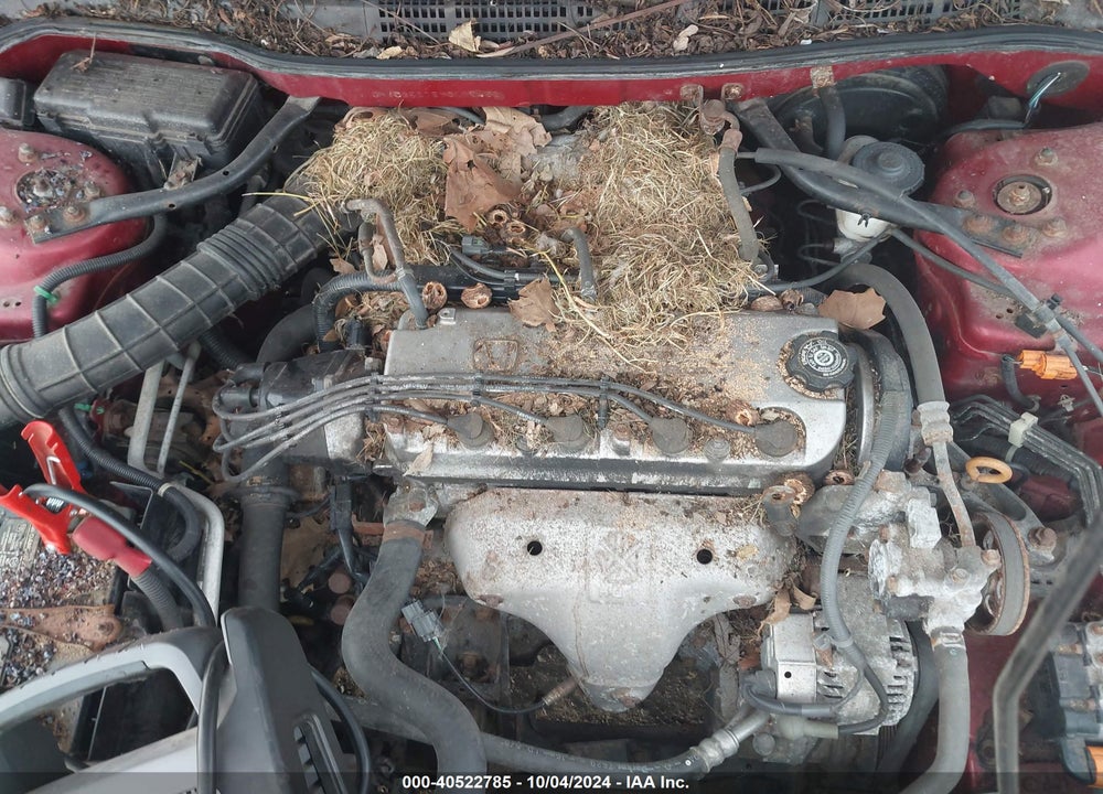 2000 HONDA ACCORD 2.3 SE VIN: JHMCG5675YC015452