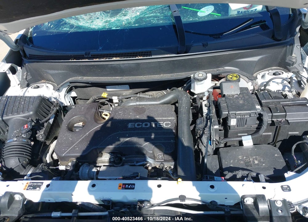 2019 CHEVROLET EQUINOX LS VIN: 3GNAXSEVXKL227631