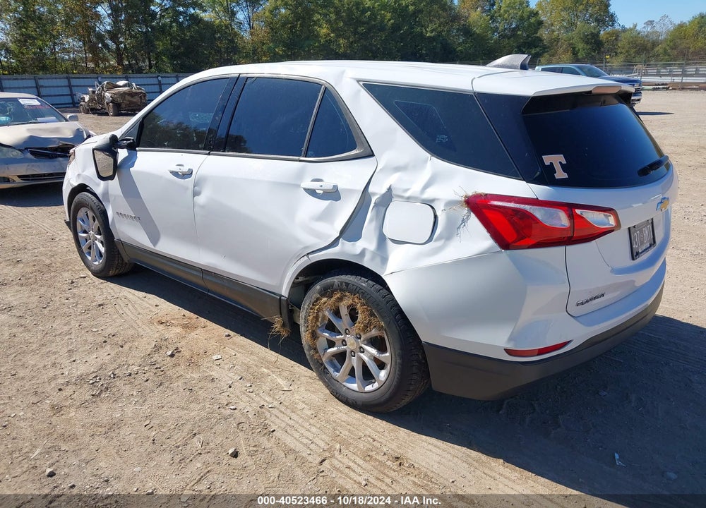 2019 CHEVROLET EQUINOX LS VIN: 3GNAXSEVXKL227631
