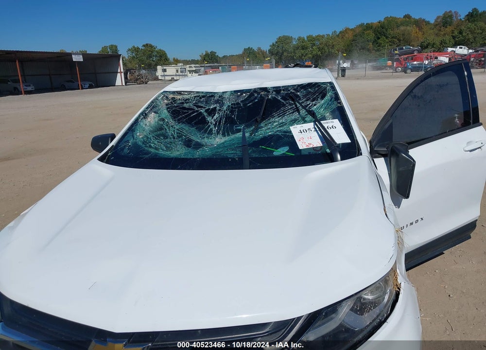2019 CHEVROLET EQUINOX LS VIN: 3GNAXSEVXKL227631