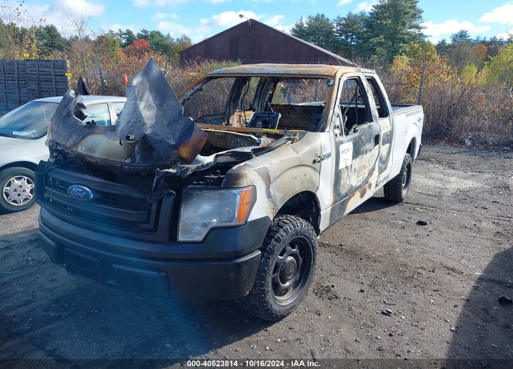 2013 FORD F-150 XL VIN: 1FTFX1EF2DKF63134