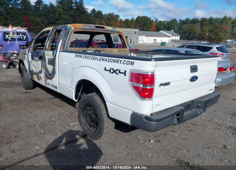 2013 FORD F-150 XL VIN: 1FTFX1EF2DKF63134
