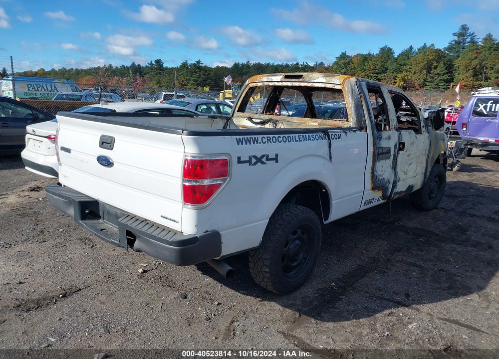 2013 FORD F-150 XL VIN: 1FTFX1EF2DKF63134