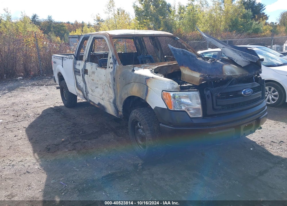 2013 FORD F-150 XL VIN: 1FTFX1EF2DKF63134