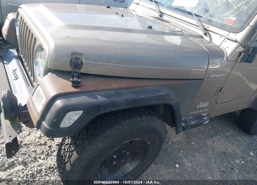 2003 JEEP WRANGLER SPORT VIN: 1J4FA49S23P302754