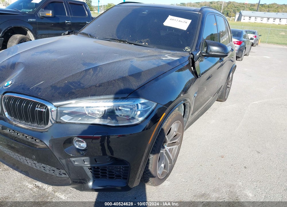 2017 BMW X5 M VIN: 5YMKT6C31H0X20743