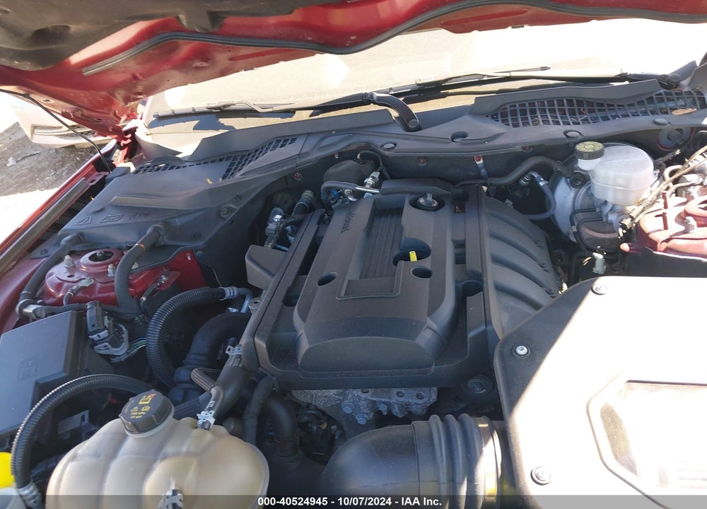 2019 FORD MUSTANG ECOBOOST VIN: 1FA6P8TH8K5142775
