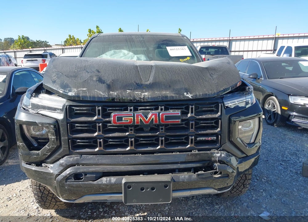 2024 GMC CANYON 4WD AT4X VIN: 1GTP6EEK9R1132377