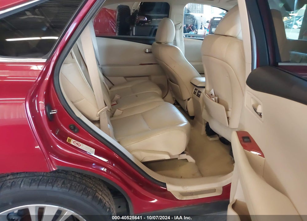 2010 LEXUS RX 450H VIN: JTJZB1BA2A2004339