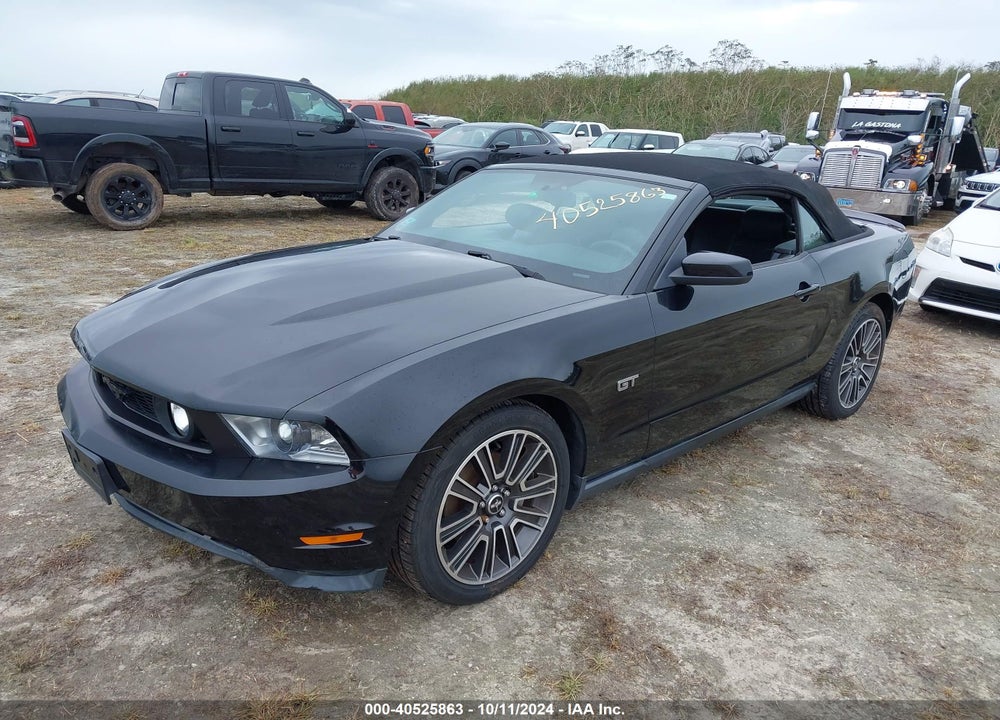 2010 FORD MUSTANG VIN: 1ZVBP8FHXA5134001
