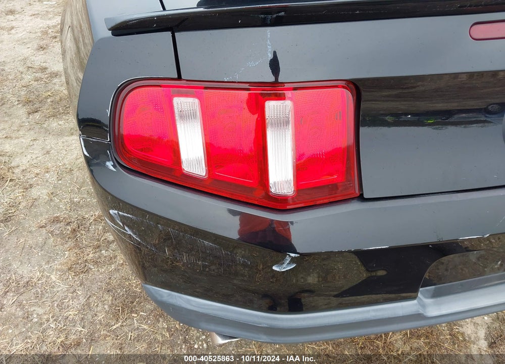 2010 FORD MUSTANG VIN: 1ZVBP8FHXA5134001