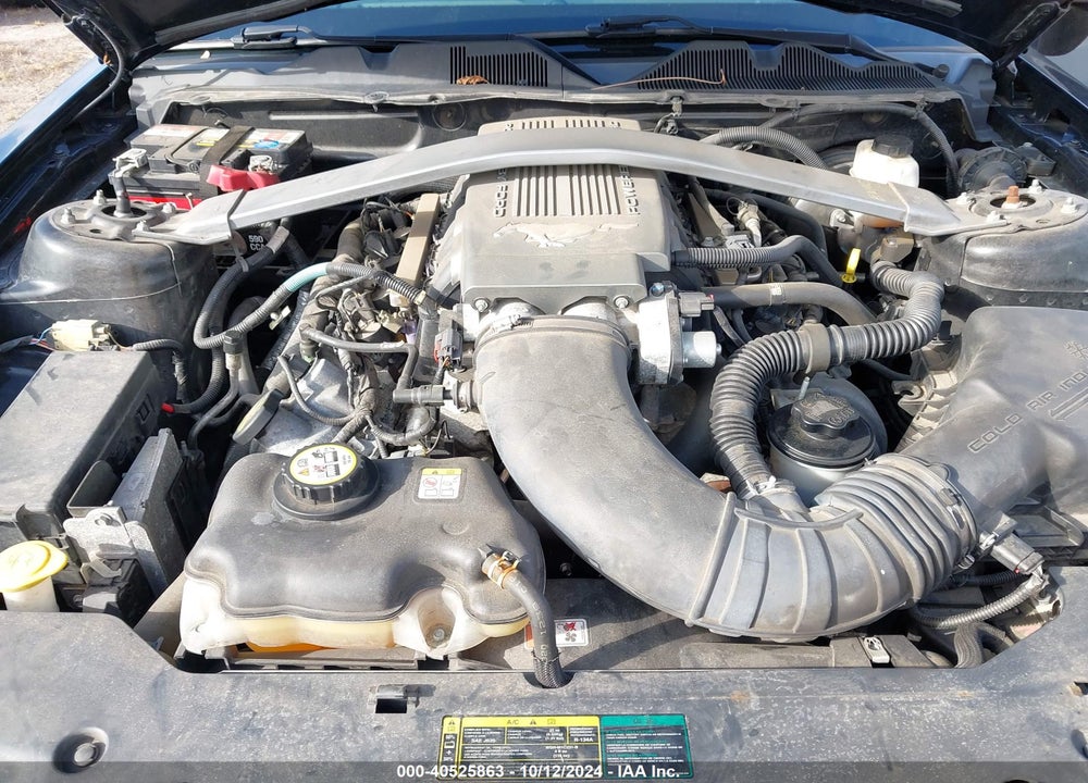 2010 FORD MUSTANG VIN: 1ZVBP8FHXA5134001