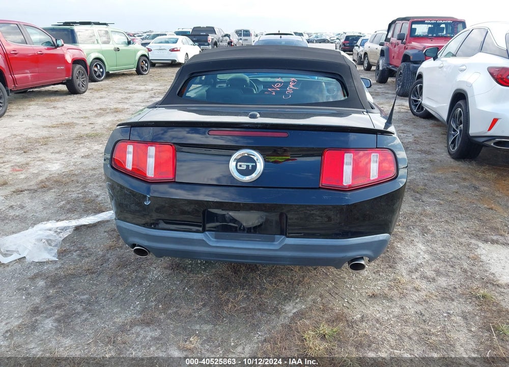 2010 FORD MUSTANG VIN: 1ZVBP8FHXA5134001