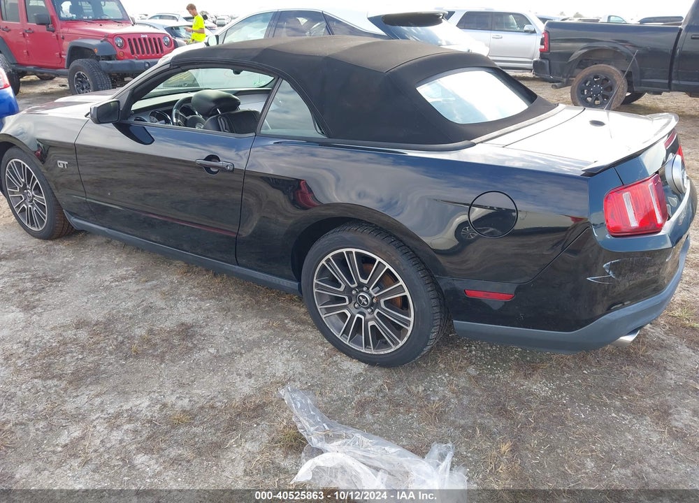 2010 FORD MUSTANG VIN: 1ZVBP8FHXA5134001