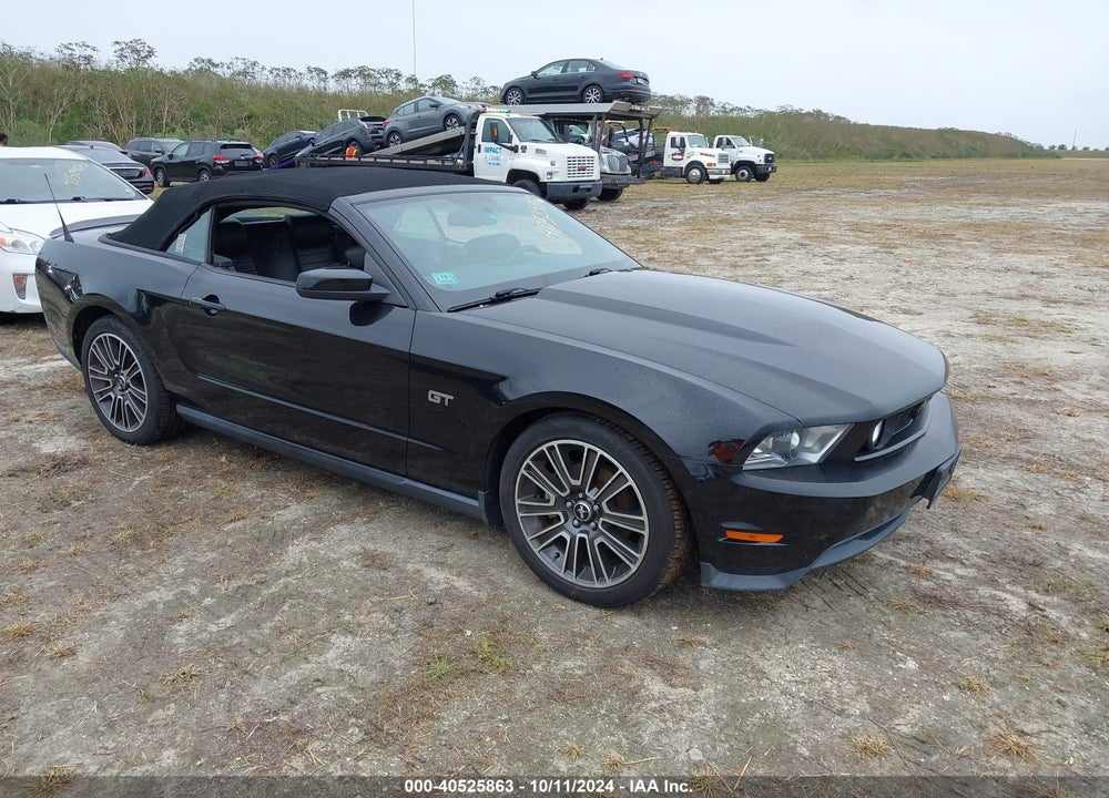 2010 FORD MUSTANG VIN: 1ZVBP8FHXA5134001
