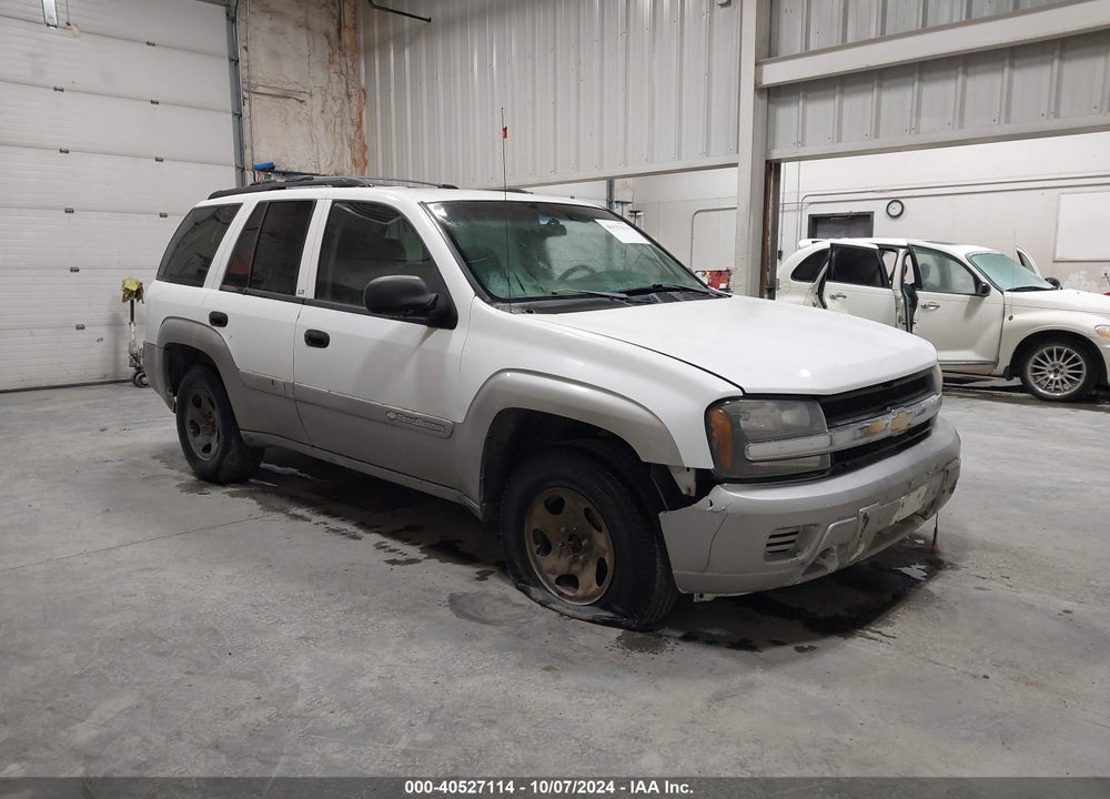 2004 CHEVROLET TRAILBLAZER LS VIN: 1GNDT13S942345640
