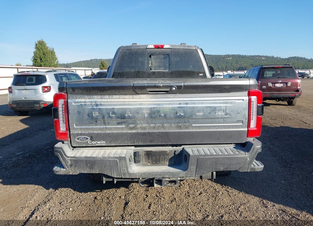 2024 FORD F-350 PLATINUM VIN: 1FT8W3BM8REC89065