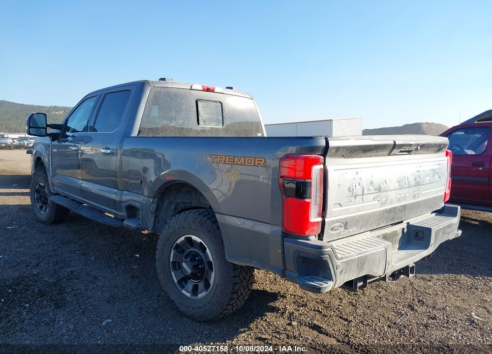 2024 FORD F-350 PLATINUM VIN: 1FT8W3BM8REC89065