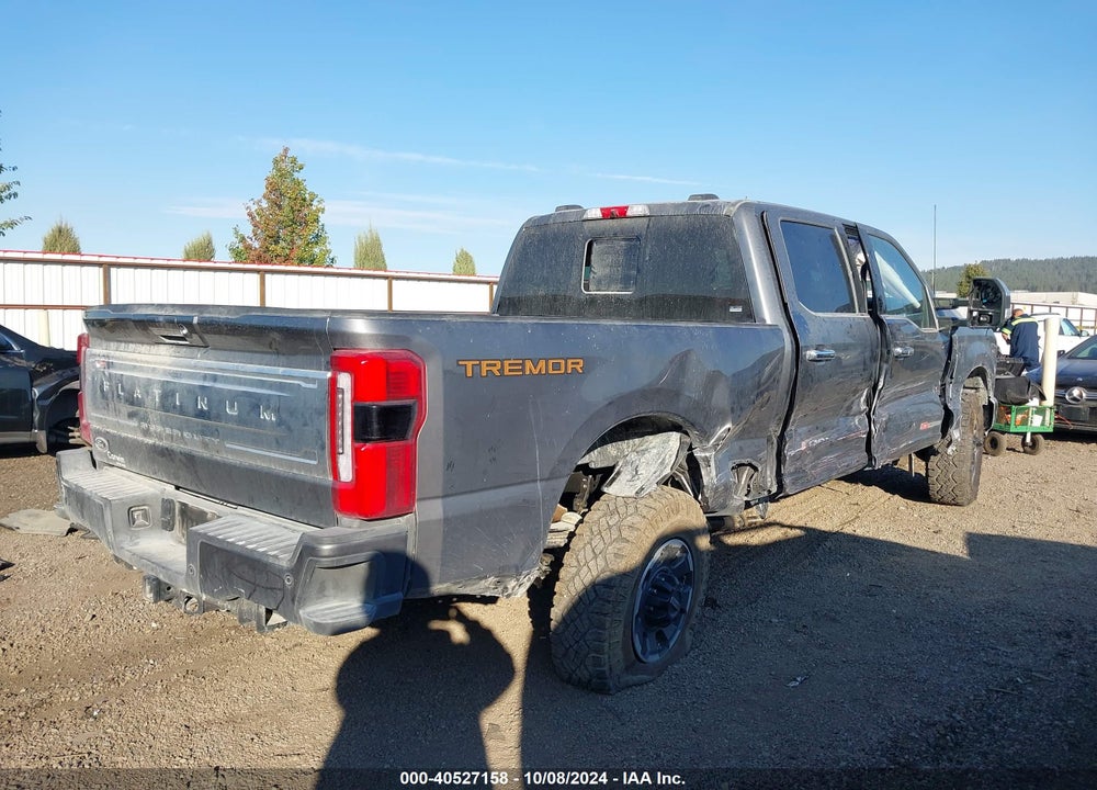 2024 FORD F-350 PLATINUM VIN: 1FT8W3BM8REC89065