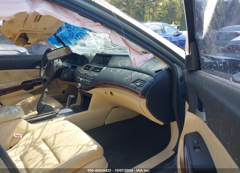 2010 HONDA ACCORD CROSSTOUR EX-L VIN: 5J6TF2H50AL003191