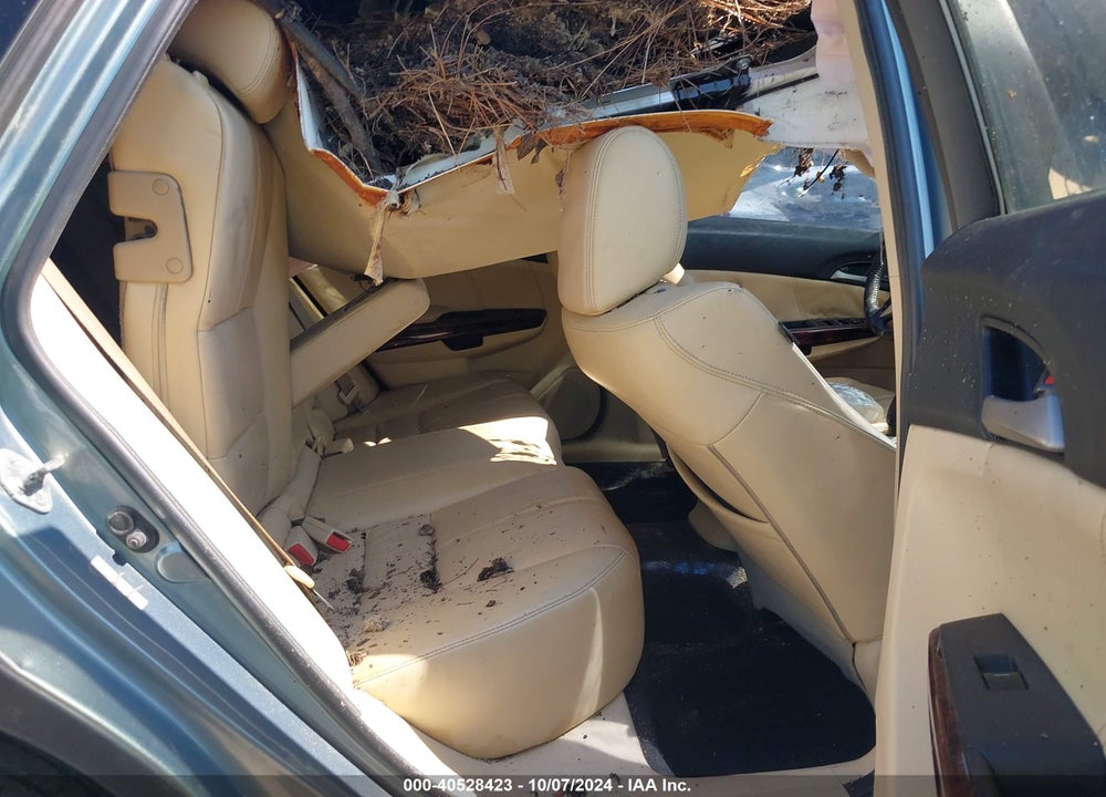 2010 HONDA ACCORD CROSSTOUR EX-L VIN: 5J6TF2H50AL003191