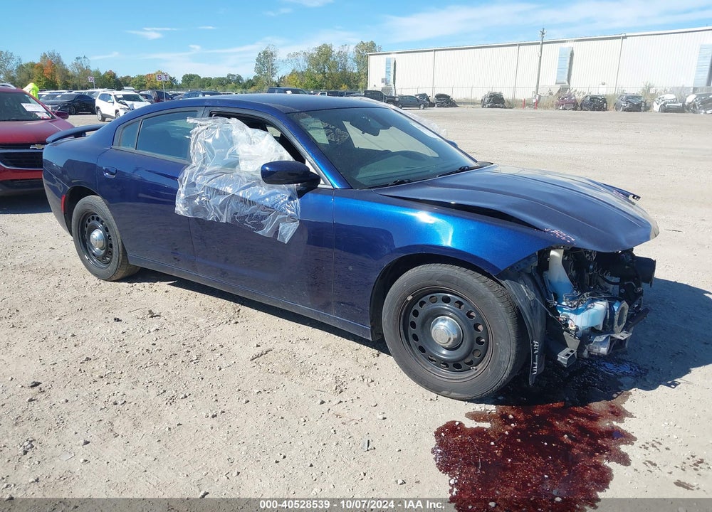 2016 DODGE CHARGER POLICE VIN: 2C3CDXKT8GH189251