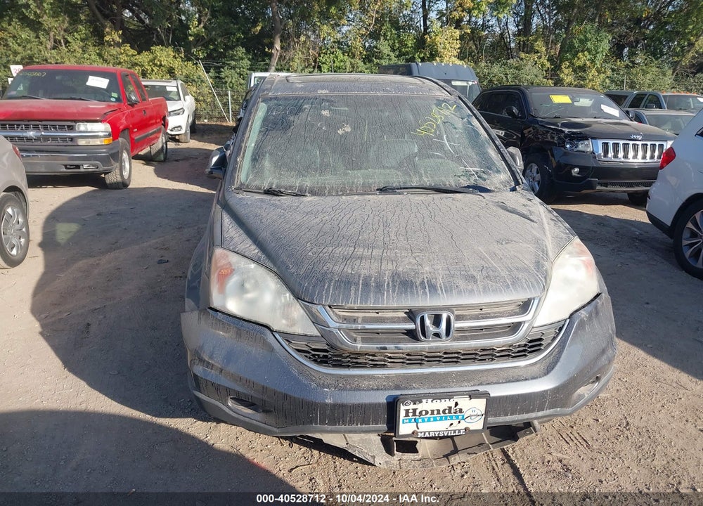 2010 HONDA CR-V EX-L VIN: 5J6RE4H77AL078285