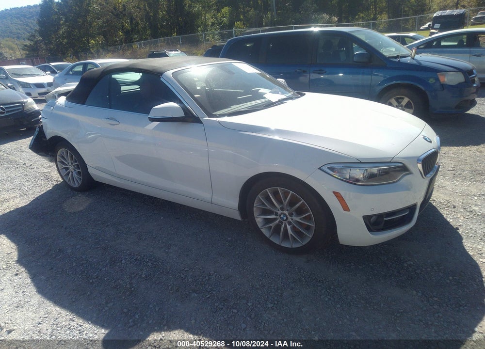 2016 BMW 228I XDRIVE VIN: WBA1L9C51GV767468