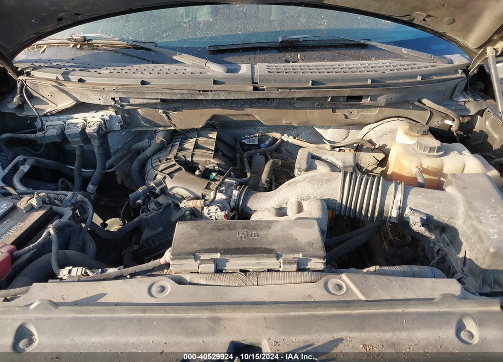 2011 FORD F-150 XLT VIN: 1FTEW1CM4BFA11494