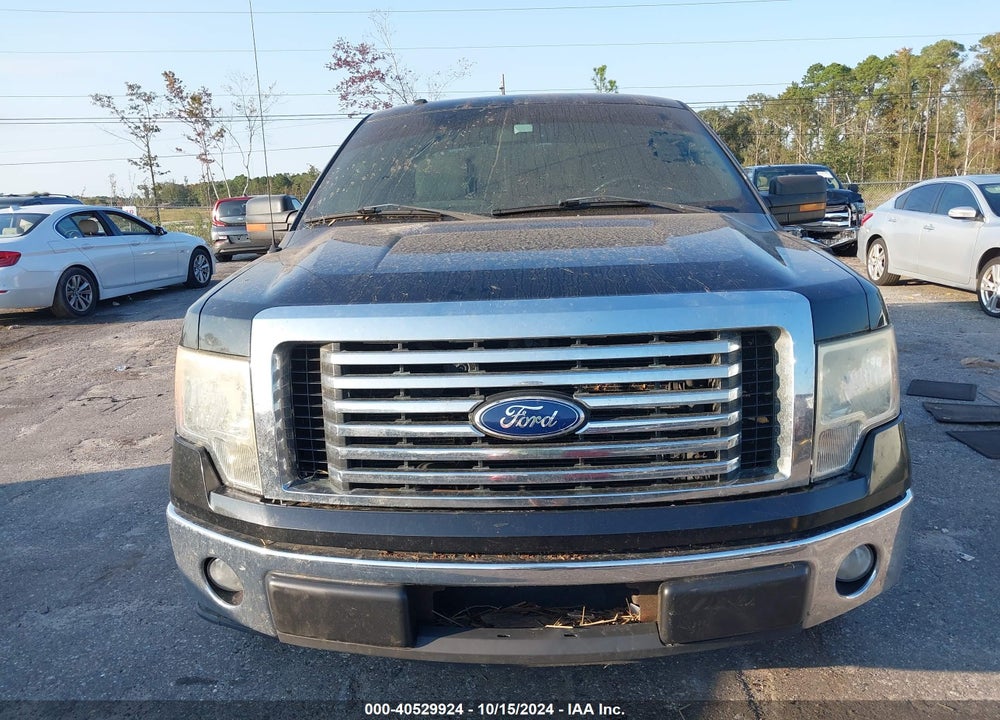 2011 FORD F-150 XLT VIN: 1FTEW1CM4BFA11494