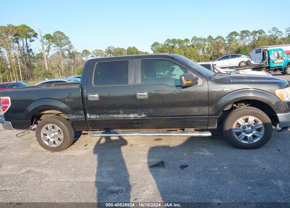 2011 FORD F-150 XLT VIN: 1FTEW1CM4BFA11494