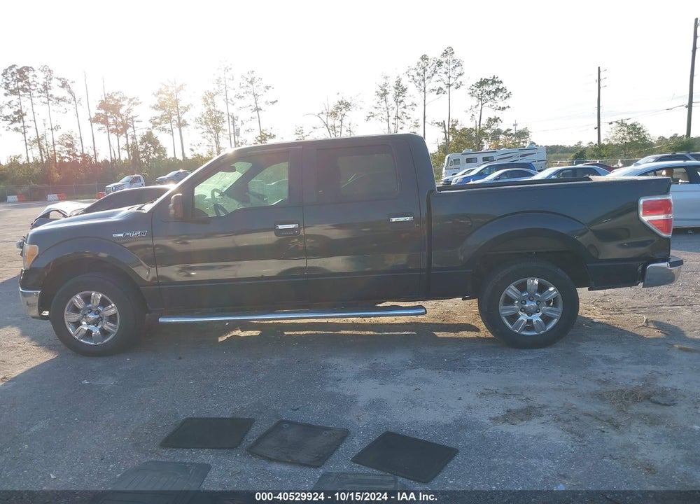 2011 FORD F-150 XLT VIN: 1FTEW1CM4BFA11494