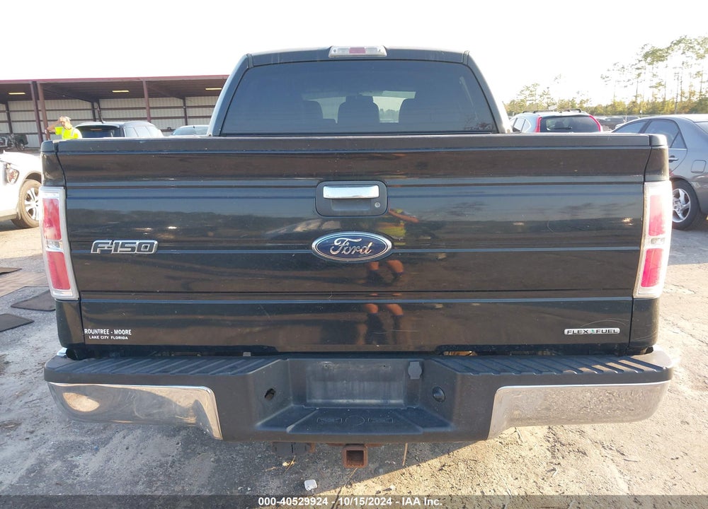 2011 FORD F-150 XLT VIN: 1FTEW1CM4BFA11494