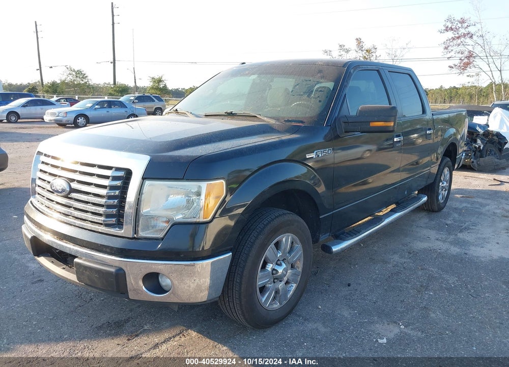 2011 FORD F-150 XLT VIN: 1FTEW1CM4BFA11494