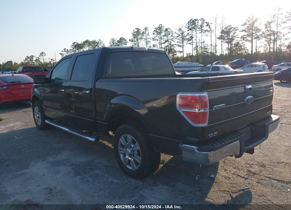 2011 FORD F-150 XLT VIN: 1FTEW1CM4BFA11494