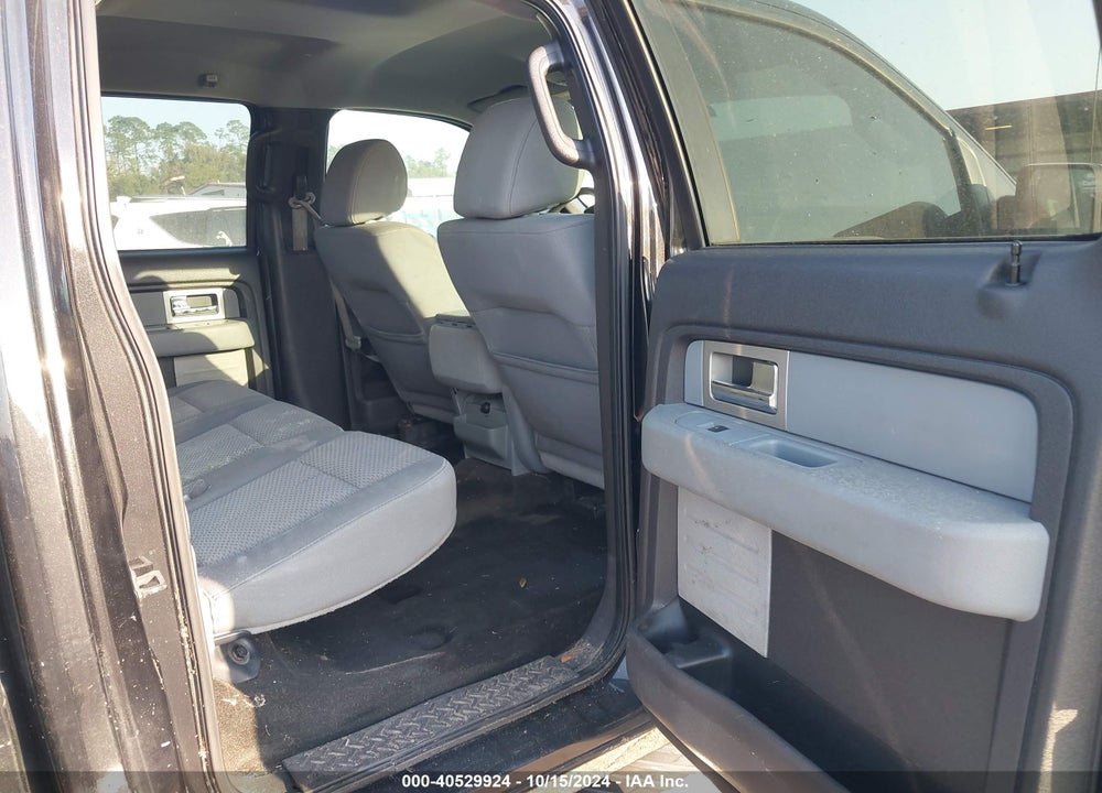 2011 FORD F-150 XLT VIN: 1FTEW1CM4BFA11494