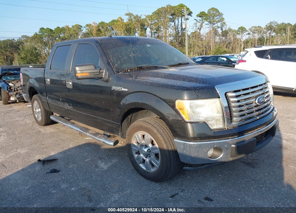2011 FORD F-150 XLT VIN: 1FTEW1CM4BFA11494
