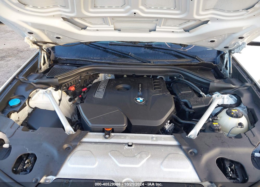 2019 BMW X3 SDRIVE30I VIN: 5UXTR7C50KLE93619